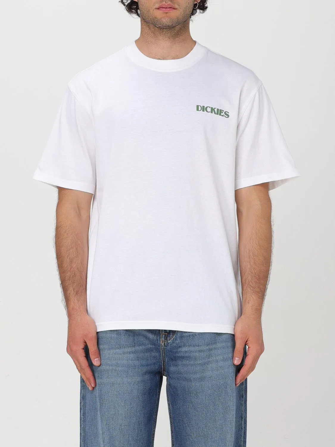 Camiseta hombre Dickies