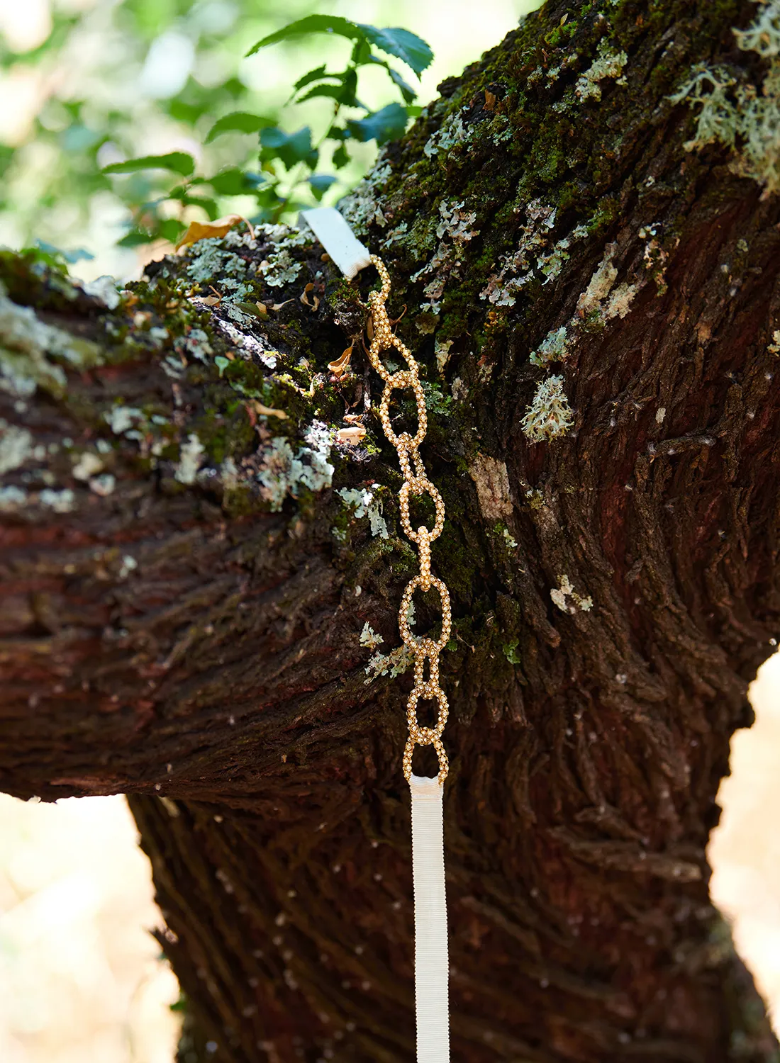 Collar cadenas