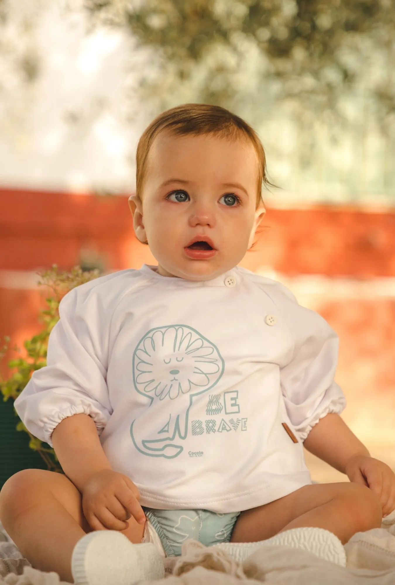Sudadera para niño. Colección animales de Cocote